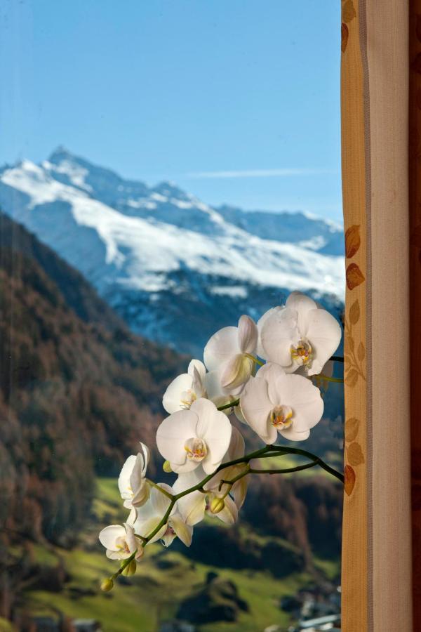 Alp Tiroler Adler